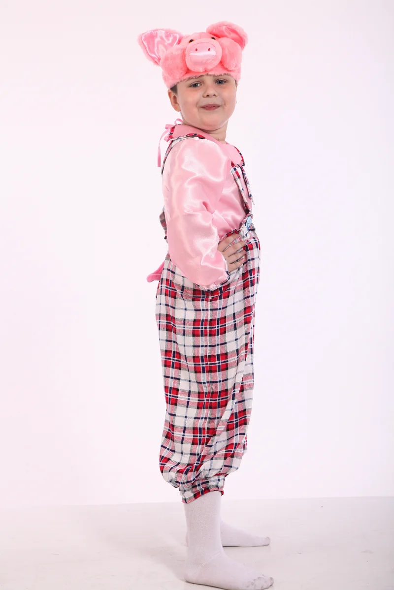 Boy's Piggy Costume New
