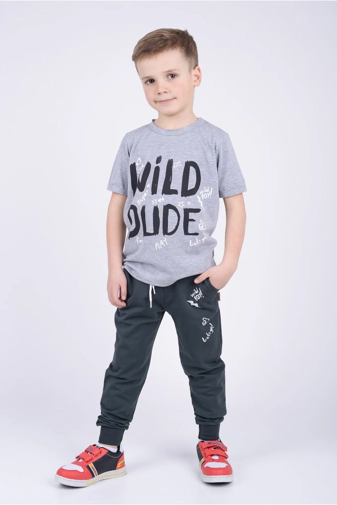 Футболка для хлопчика WILD сіра