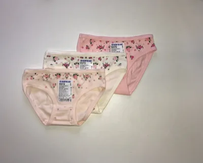 Briefs 5572