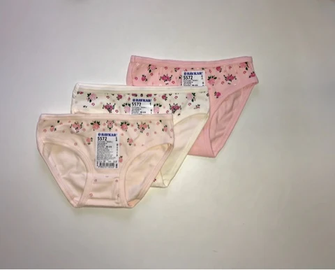 Briefs 5572