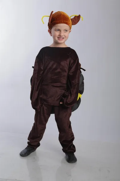 Colorado Potato Beetle Costume