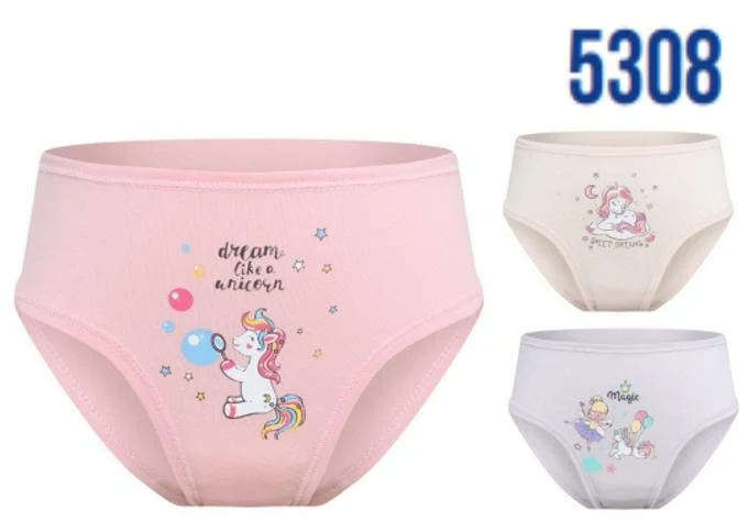 Briefs 5308