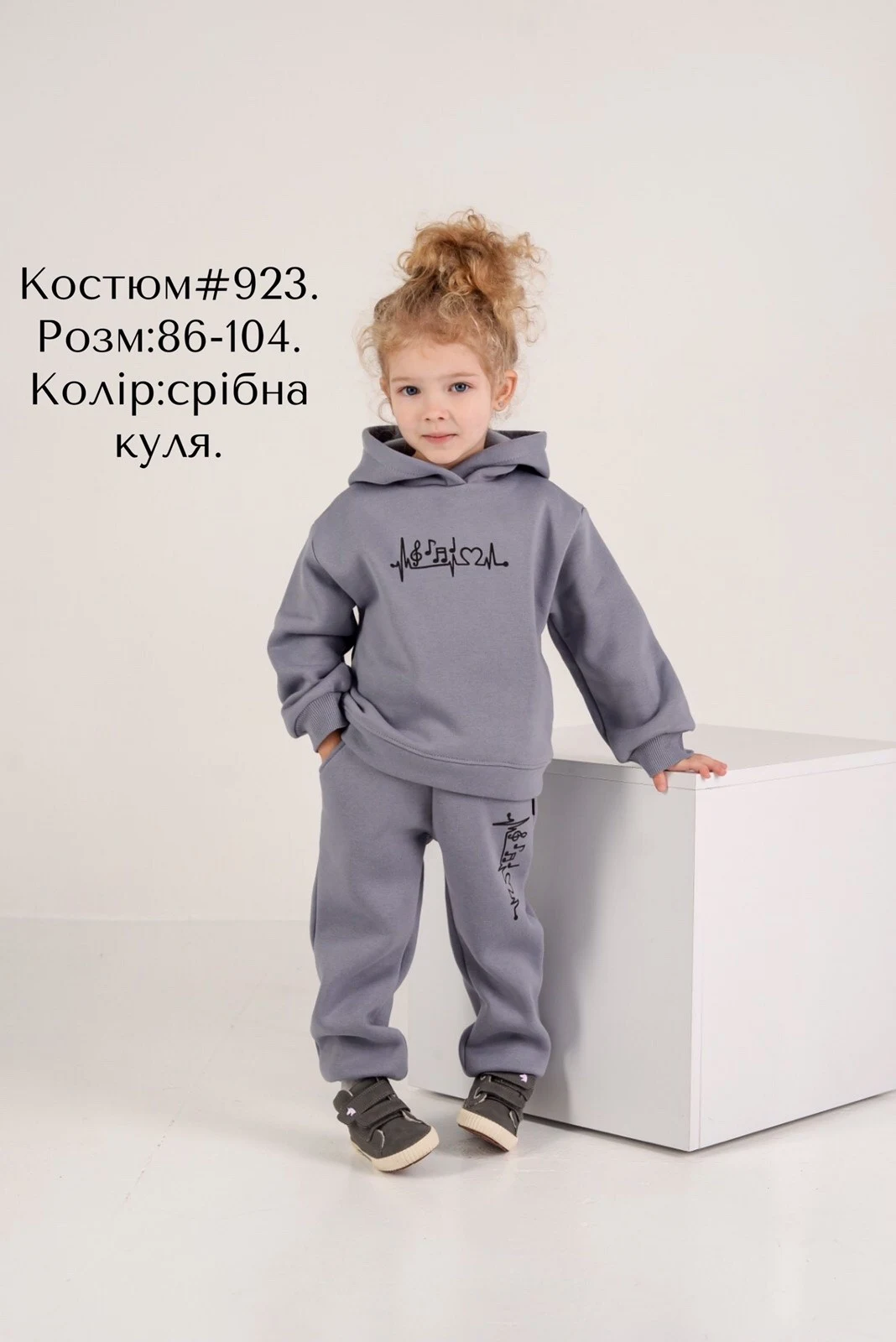 Спортивний костюм з начосом 923 Ноти графіт
