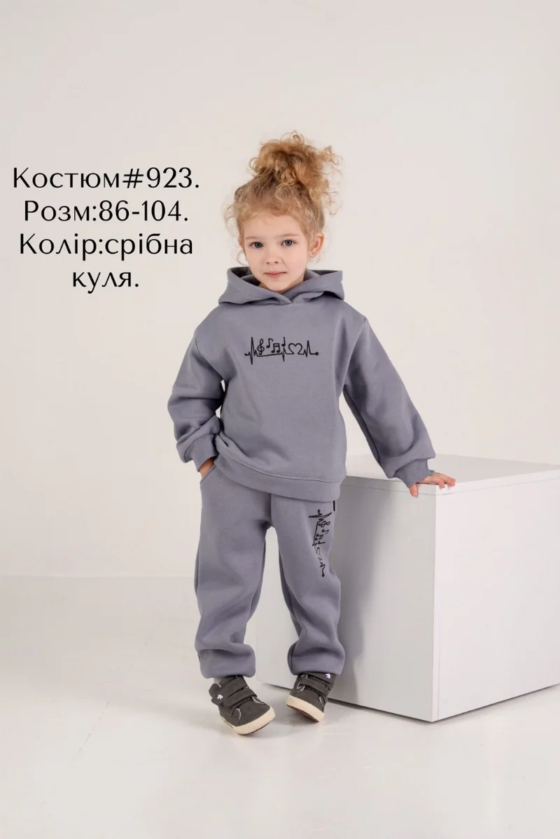 Спортивний костюм з начосом 923 Ноти графіт