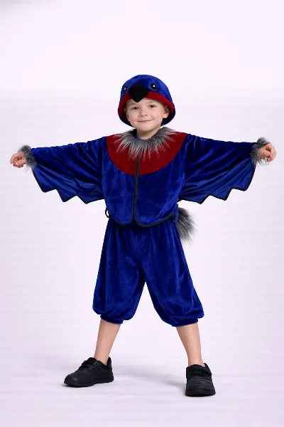 Bullfinch Carnival Costume No. 8