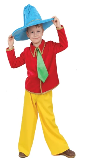 Carnival costume for children Dunno 364