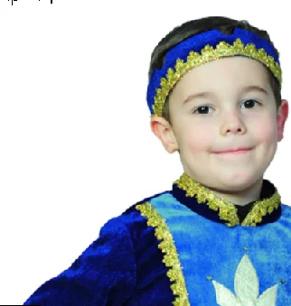 Carnival costume Prince Velor 9334