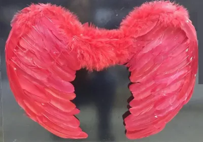 Angel Wings Feather Costume - Red