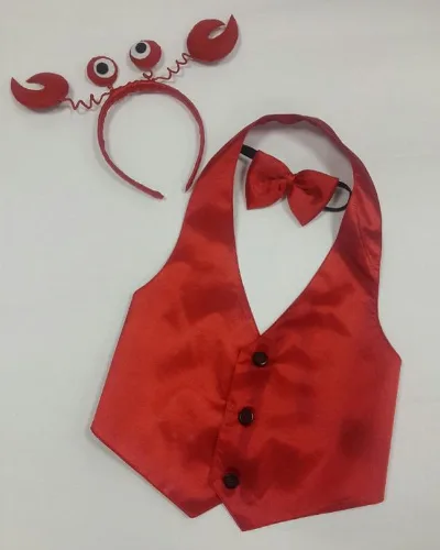 Crab costume for boys