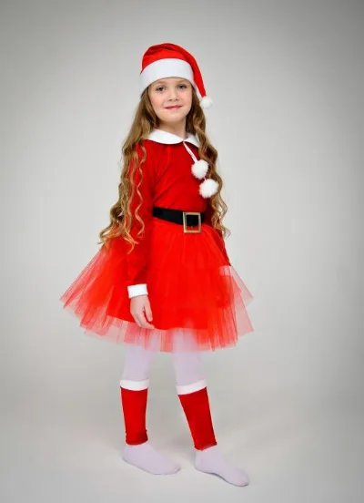 Santa's Little Helper Costume #5