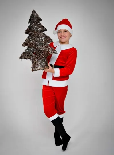 Santa Claus Carnival Costume #5