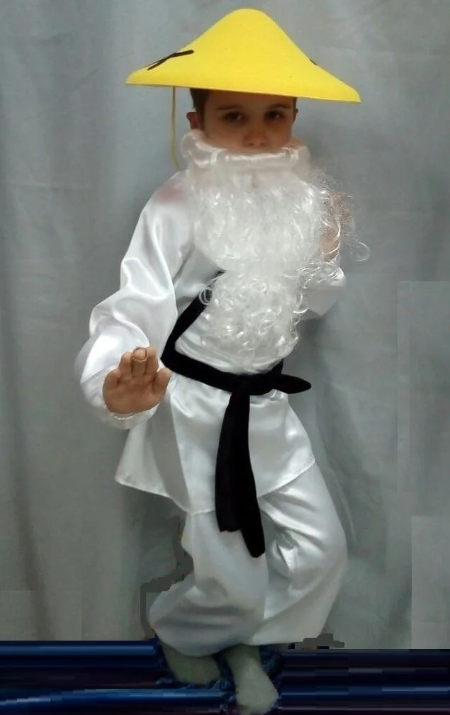 Ninjago Sensei Wu Costume for Boys