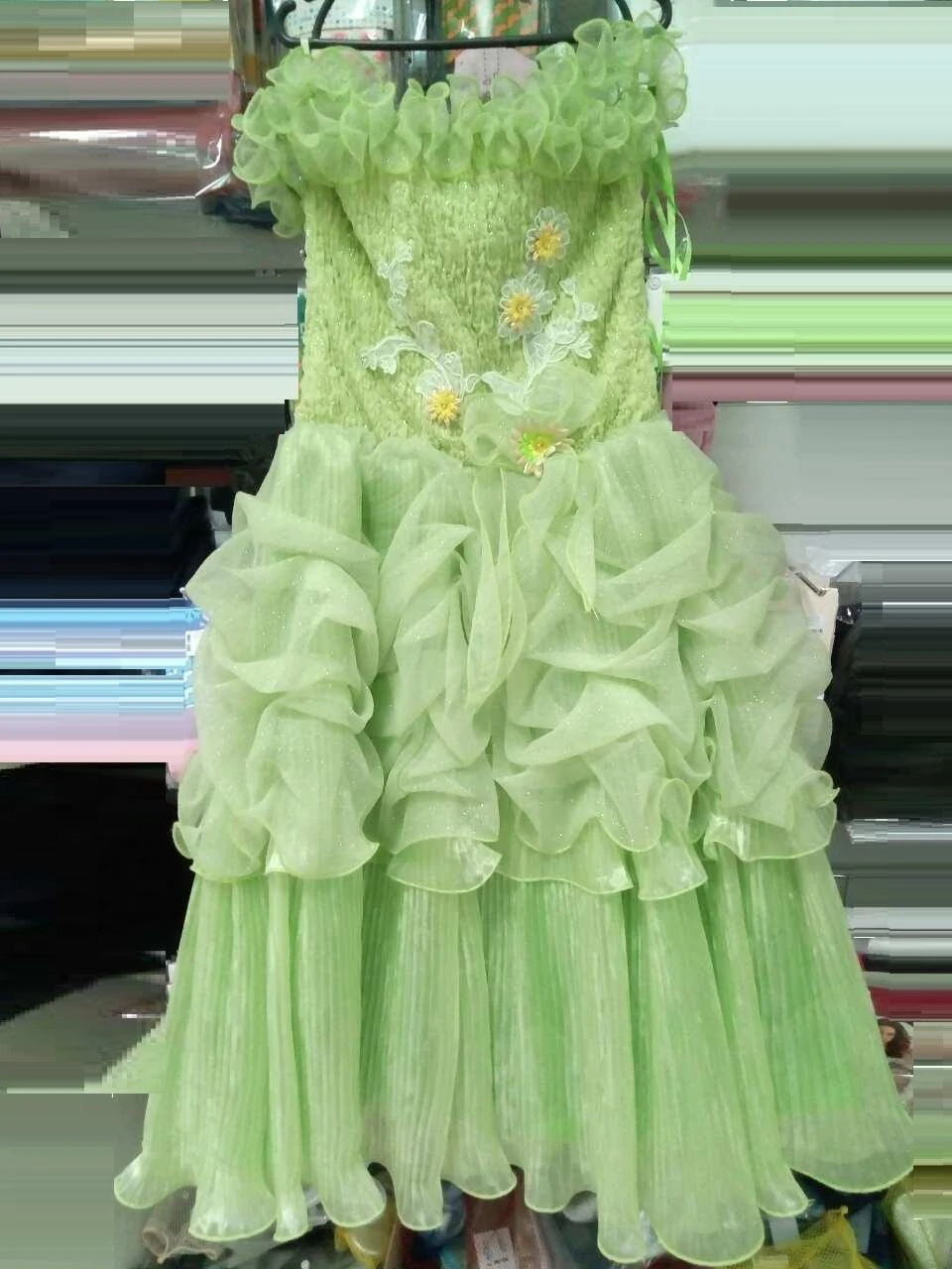 Rental Elegant dress for girls Vasna (reaper)