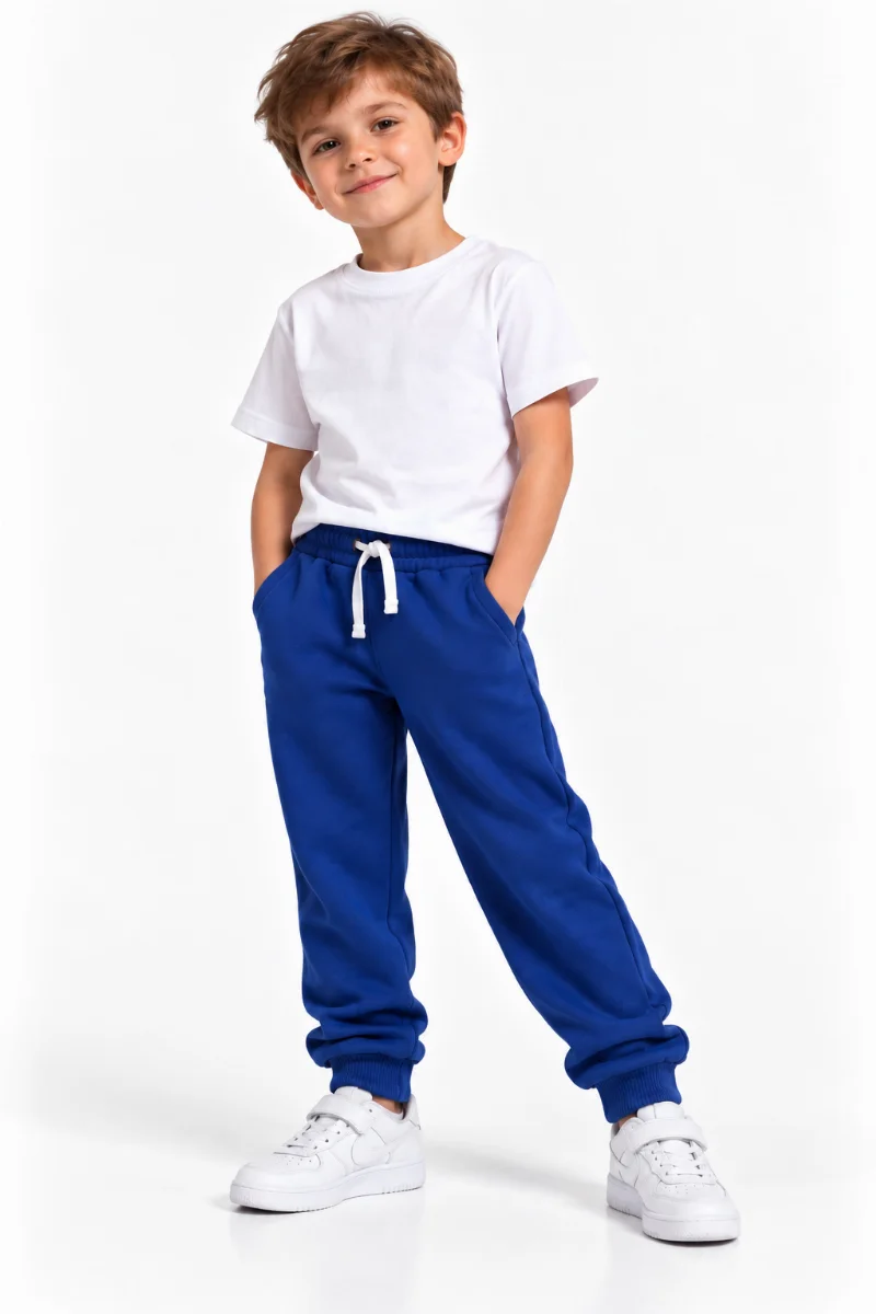 Штани джоггери утеплені електрик 1345 HART