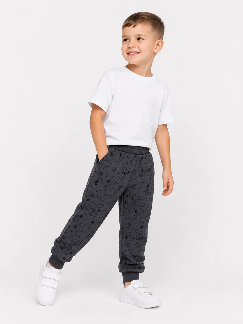 Спортивні брюки джоггери ШТ-459